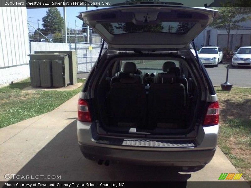 Silver Birch Metallic / Shale Grey 2006 Ford Freestyle SEL