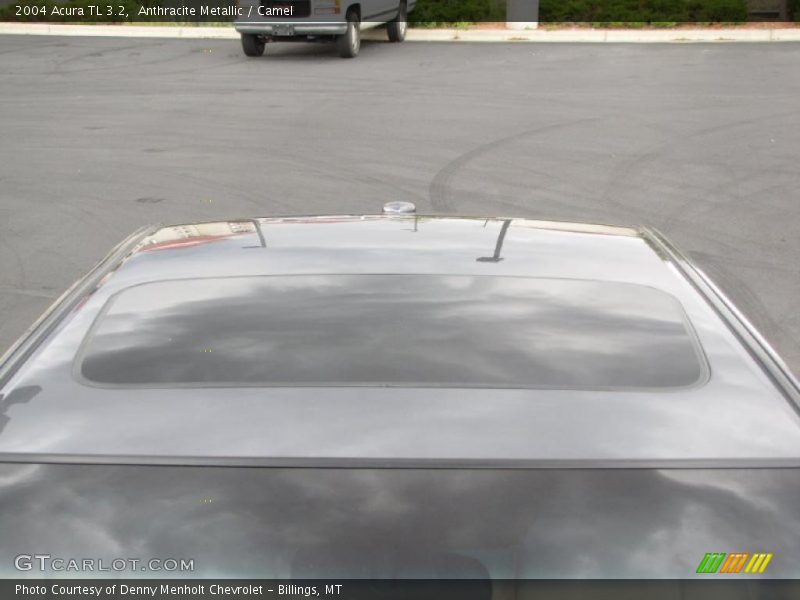 Anthracite Metallic / Camel 2004 Acura TL 3.2