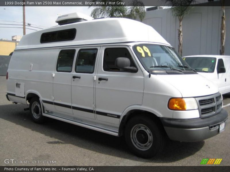 Bright White / Mist Gray 1999 Dodge Ram Van 2500 Maxi Commercial