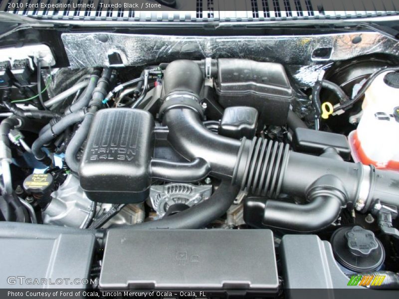 Tuxedo Black / Stone 2010 Ford Expedition Limited