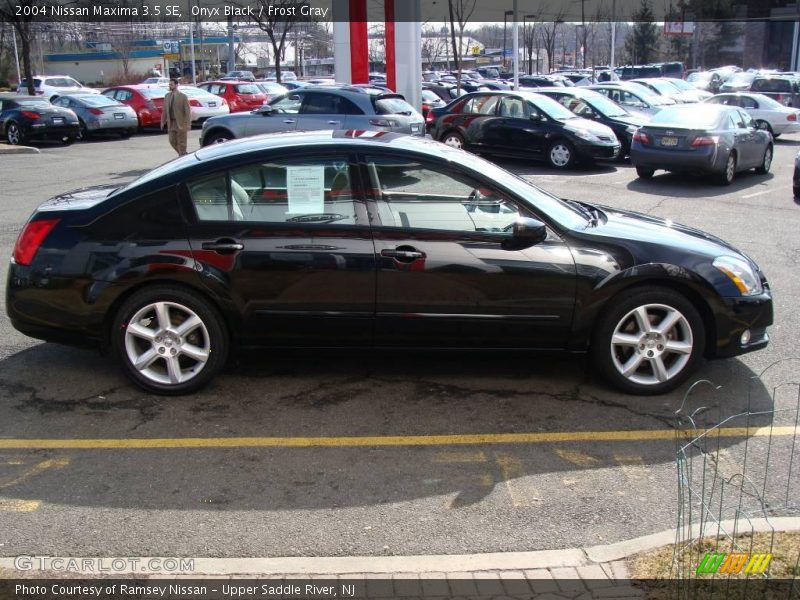 Onyx Black / Frost Gray 2004 Nissan Maxima 3.5 SE