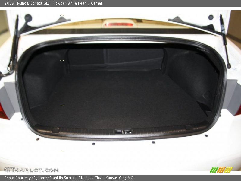 Powder White Pearl / Camel 2009 Hyundai Sonata GLS