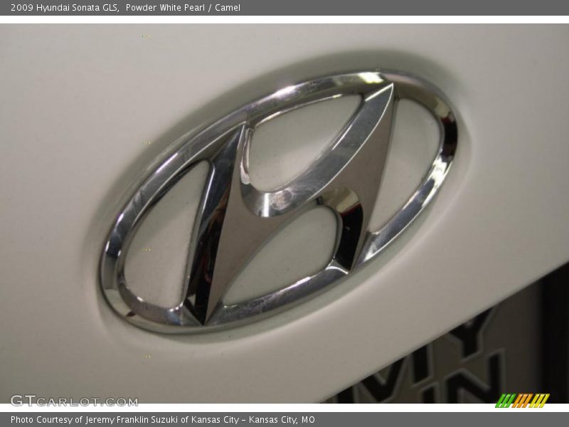 Powder White Pearl / Camel 2009 Hyundai Sonata GLS