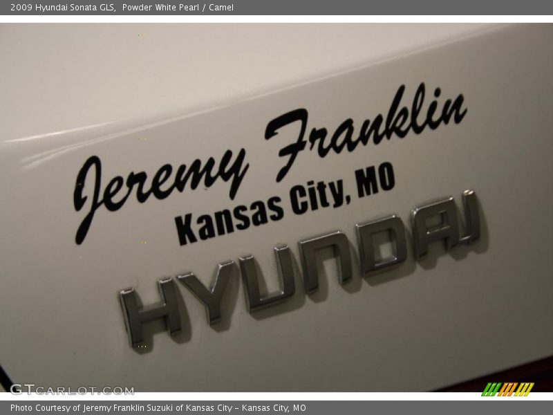 Powder White Pearl / Camel 2009 Hyundai Sonata GLS