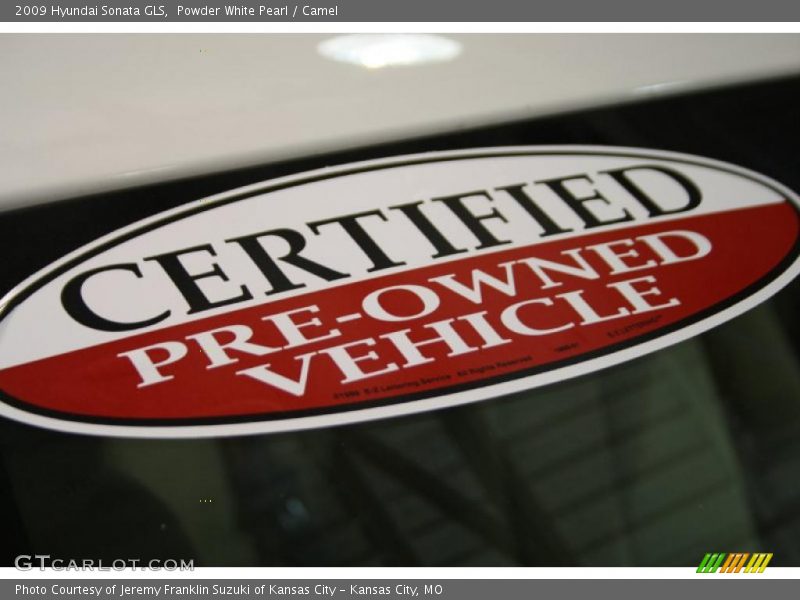 Powder White Pearl / Camel 2009 Hyundai Sonata GLS