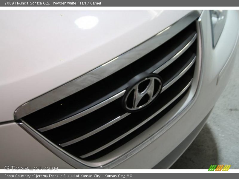 Powder White Pearl / Camel 2009 Hyundai Sonata GLS