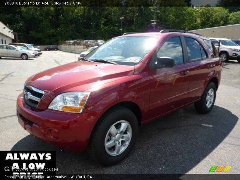 Spicy Red / Gray 2009 Kia Sorento LX 4x4