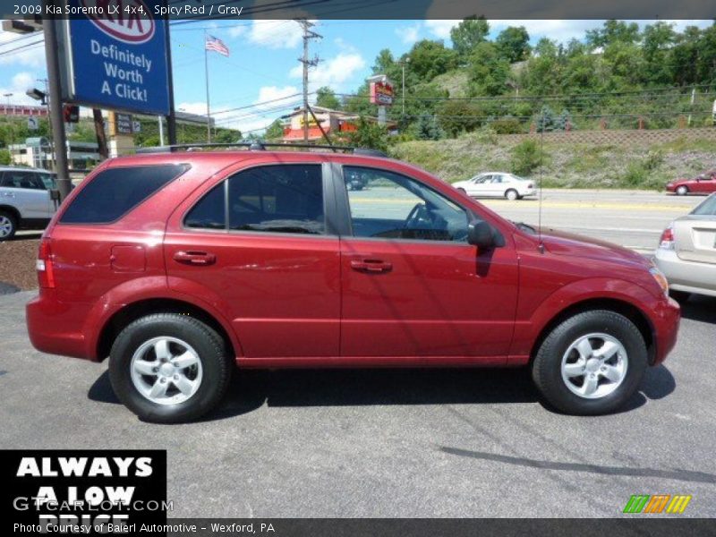 Spicy Red / Gray 2009 Kia Sorento LX 4x4