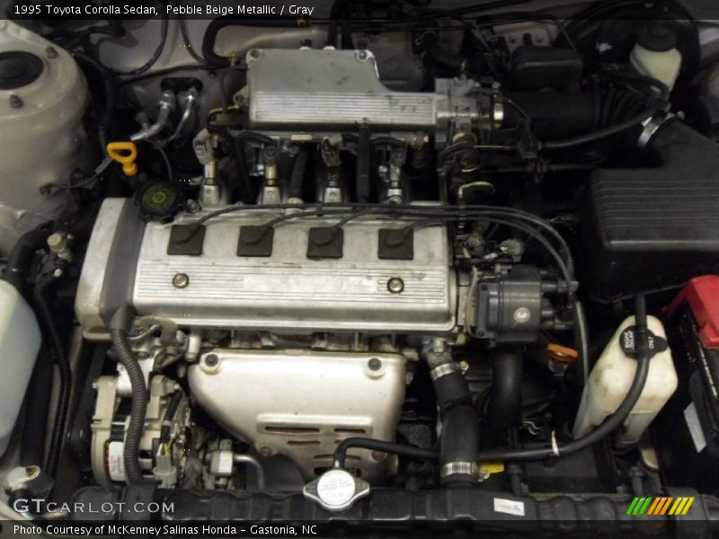 Pebble Beige Metallic / Gray 1995 Toyota Corolla Sedan