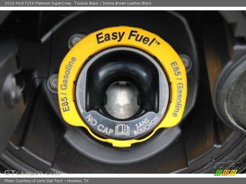 Tuxedo Black / Sienna Brown Leather/Black 2010 Ford F150 Platinum SuperCrew
