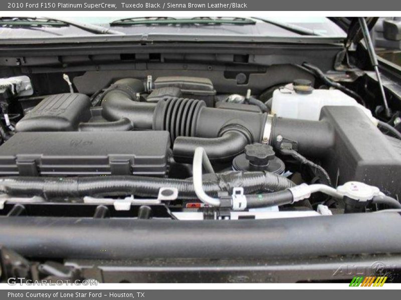 Tuxedo Black / Sienna Brown Leather/Black 2010 Ford F150 Platinum SuperCrew