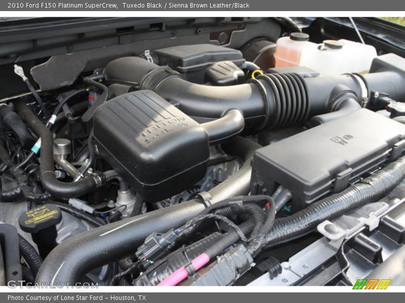 Tuxedo Black / Sienna Brown Leather/Black 2010 Ford F150 Platinum SuperCrew