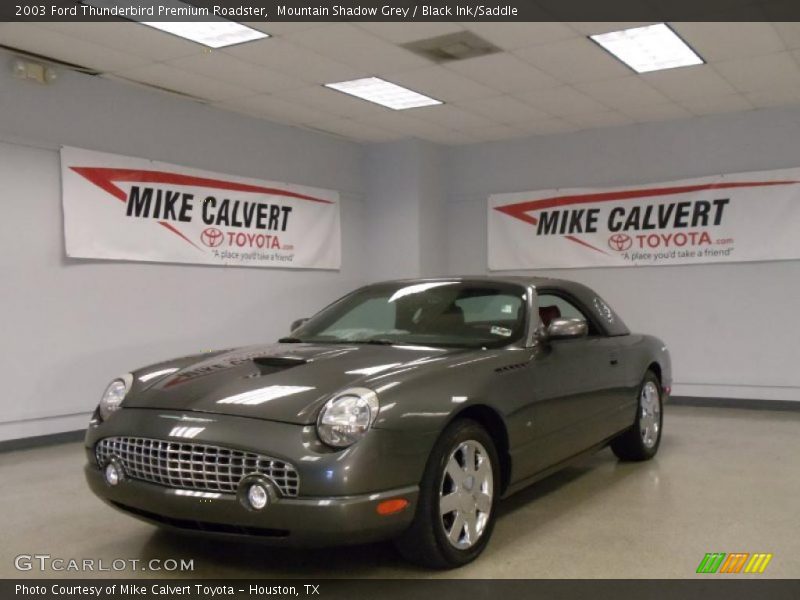 Mountain Shadow Grey / Black Ink/Saddle 2003 Ford Thunderbird Premium Roadster