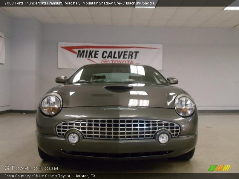 Mountain Shadow Grey / Black Ink/Saddle 2003 Ford Thunderbird Premium Roadster