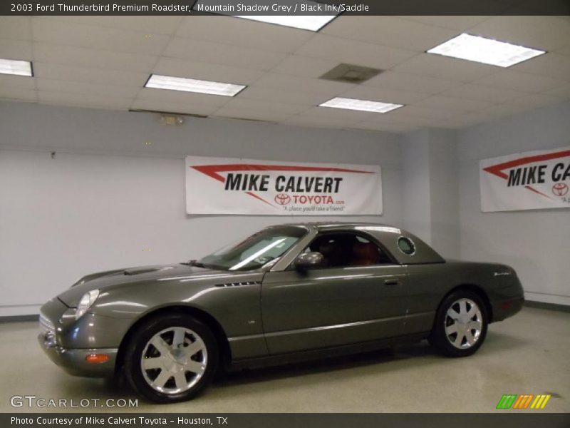 Mountain Shadow Grey / Black Ink/Saddle 2003 Ford Thunderbird Premium Roadster