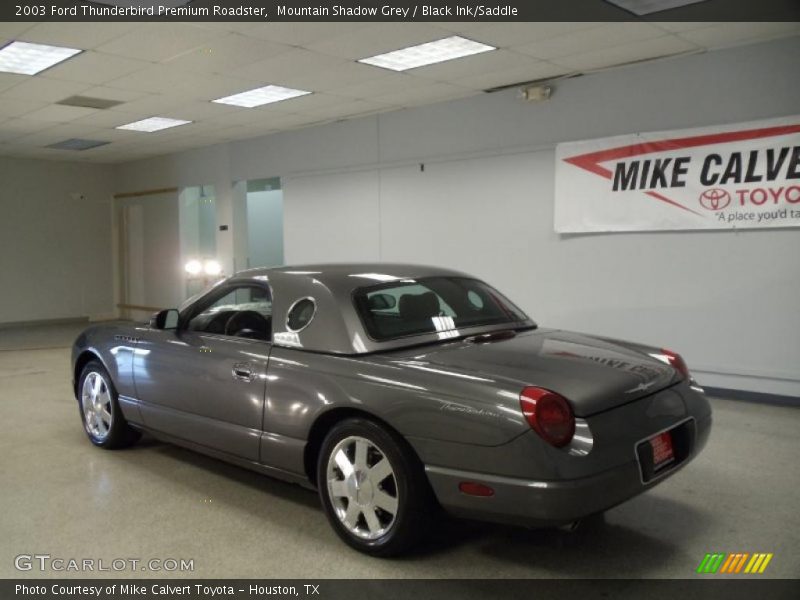 Mountain Shadow Grey / Black Ink/Saddle 2003 Ford Thunderbird Premium Roadster