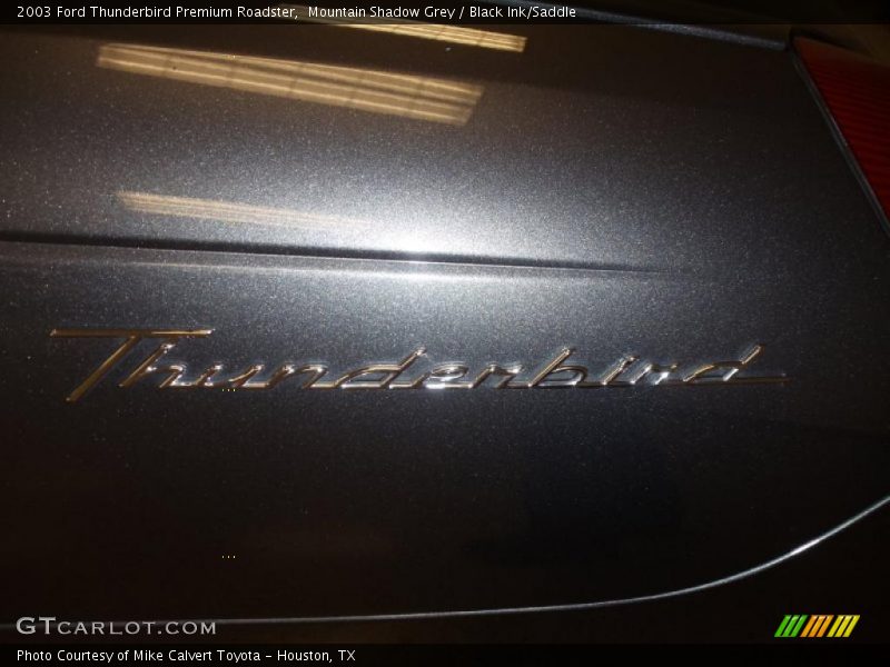 Mountain Shadow Grey / Black Ink/Saddle 2003 Ford Thunderbird Premium Roadster
