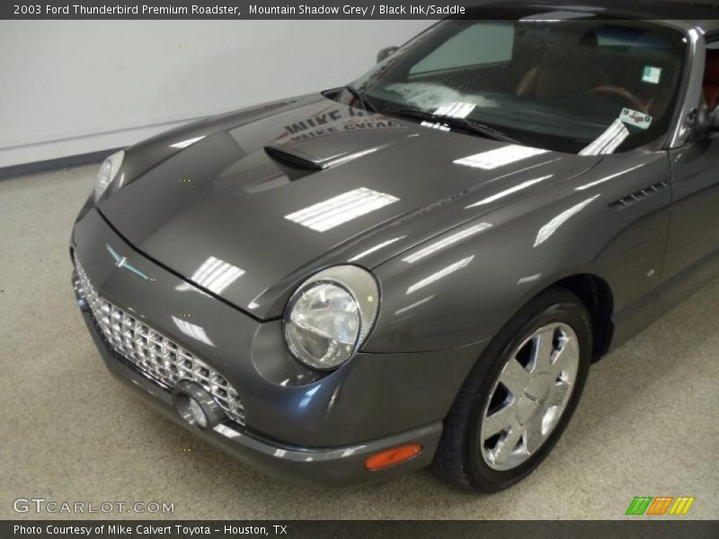 Mountain Shadow Grey / Black Ink/Saddle 2003 Ford Thunderbird Premium Roadster
