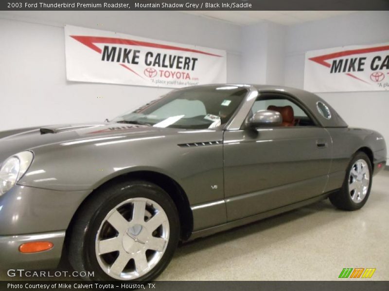 Mountain Shadow Grey / Black Ink/Saddle 2003 Ford Thunderbird Premium Roadster
