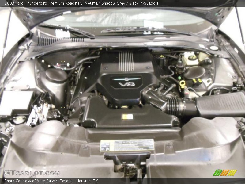 Mountain Shadow Grey / Black Ink/Saddle 2003 Ford Thunderbird Premium Roadster