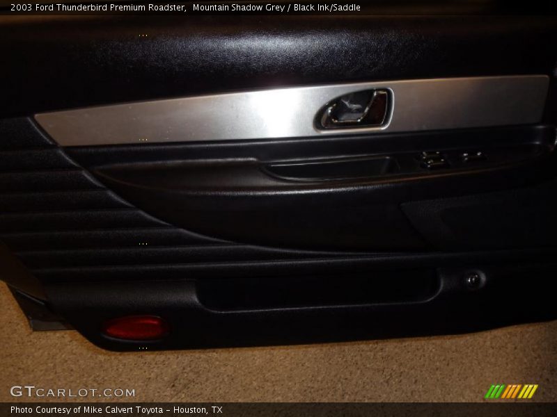 Mountain Shadow Grey / Black Ink/Saddle 2003 Ford Thunderbird Premium Roadster