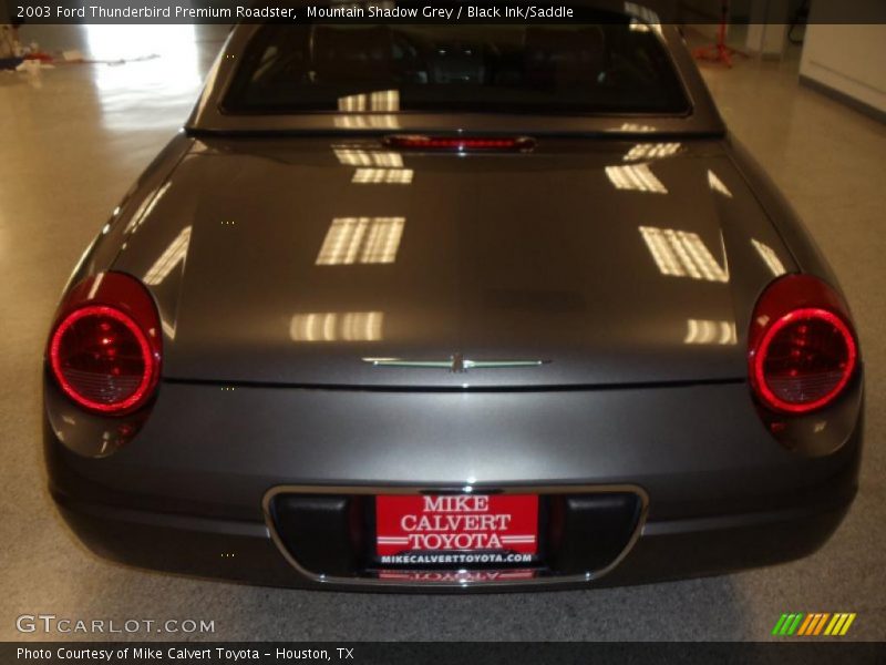 Mountain Shadow Grey / Black Ink/Saddle 2003 Ford Thunderbird Premium Roadster