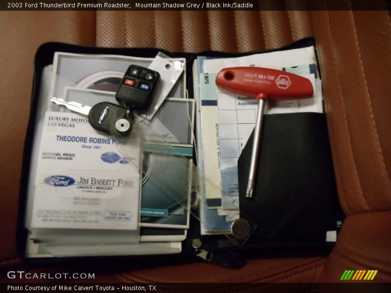 Mountain Shadow Grey / Black Ink/Saddle 2003 Ford Thunderbird Premium Roadster