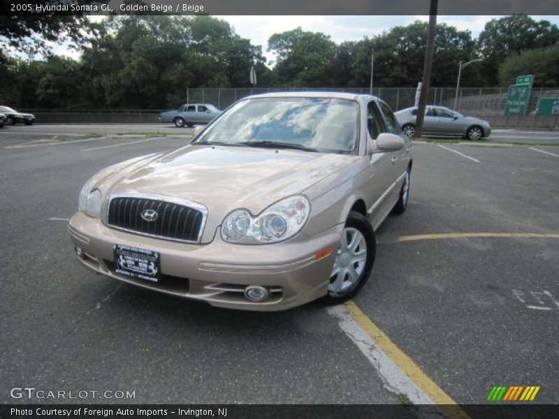 Golden Beige / Beige 2005 Hyundai Sonata GL