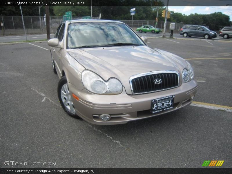 Golden Beige / Beige 2005 Hyundai Sonata GL