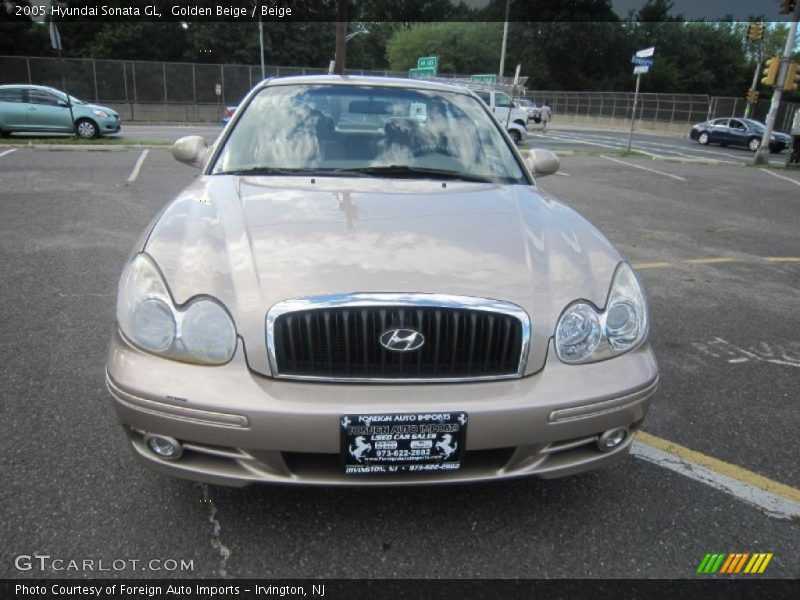 Golden Beige / Beige 2005 Hyundai Sonata GL