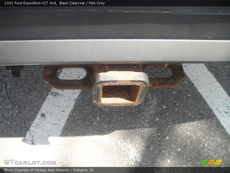 Black Clearcoat / Flint Grey 2003 Ford Expedition XLT 4x4