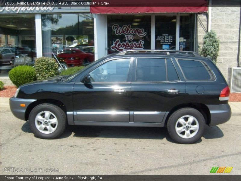 Black Obsidian / Gray 2005 Hyundai Santa Fe LX 3.5 4WD