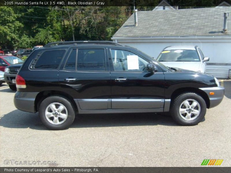 Black Obsidian / Gray 2005 Hyundai Santa Fe LX 3.5 4WD