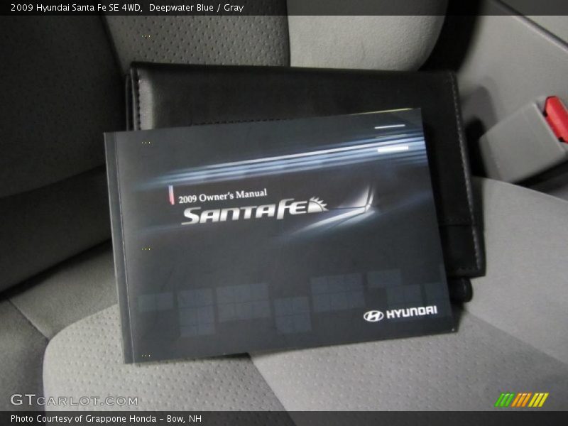 Deepwater Blue / Gray 2009 Hyundai Santa Fe SE 4WD