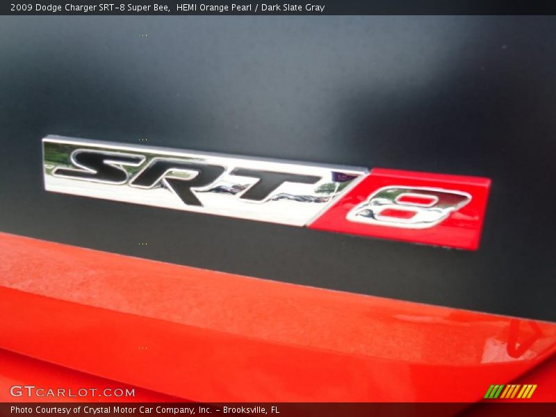  2009 Charger SRT-8 Super Bee Logo