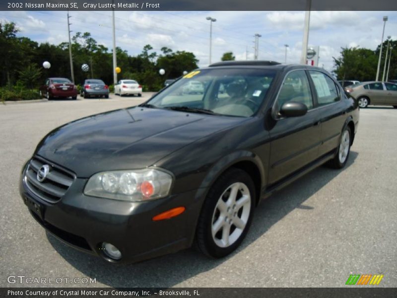 Gray Lustre Metallic / Frost 2002 Nissan Maxima SE