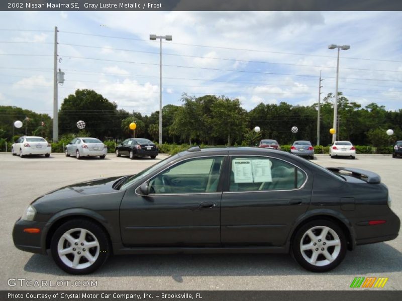 Gray Lustre Metallic / Frost 2002 Nissan Maxima SE