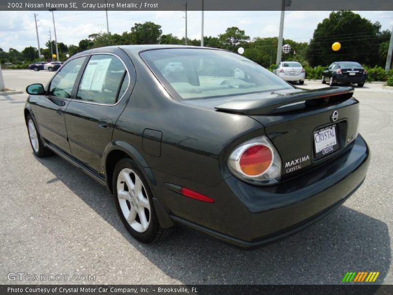Gray Lustre Metallic / Frost 2002 Nissan Maxima SE