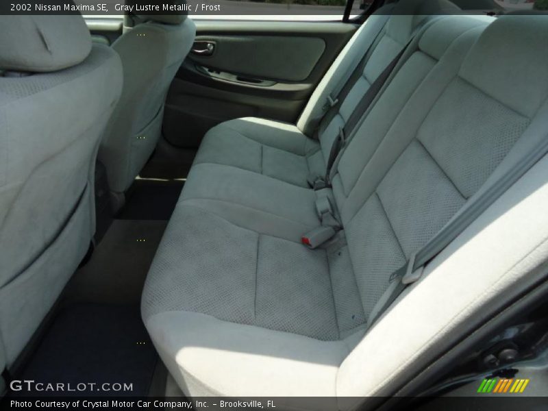 Gray Lustre Metallic / Frost 2002 Nissan Maxima SE