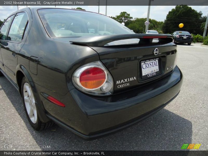 Gray Lustre Metallic / Frost 2002 Nissan Maxima SE