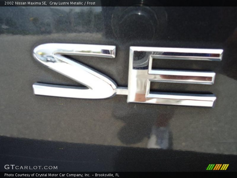 Gray Lustre Metallic / Frost 2002 Nissan Maxima SE