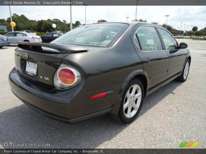 Gray Lustre Metallic / Frost 2002 Nissan Maxima SE