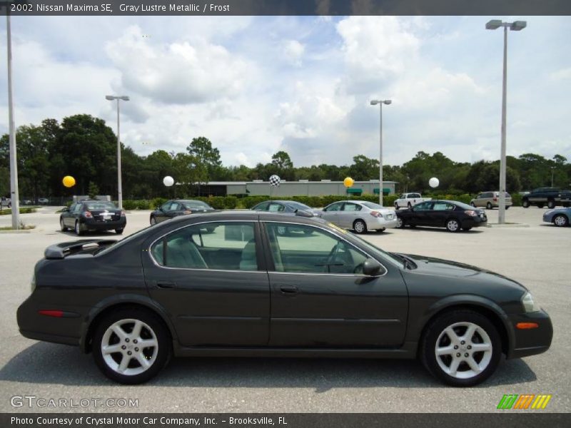 Gray Lustre Metallic / Frost 2002 Nissan Maxima SE