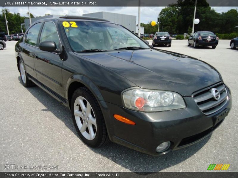 Gray Lustre Metallic / Frost 2002 Nissan Maxima SE