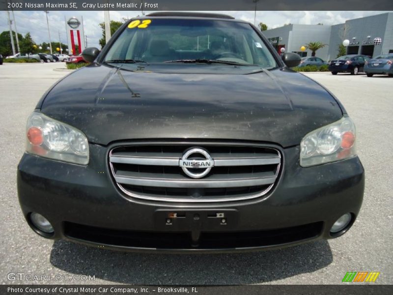 Gray Lustre Metallic / Frost 2002 Nissan Maxima SE