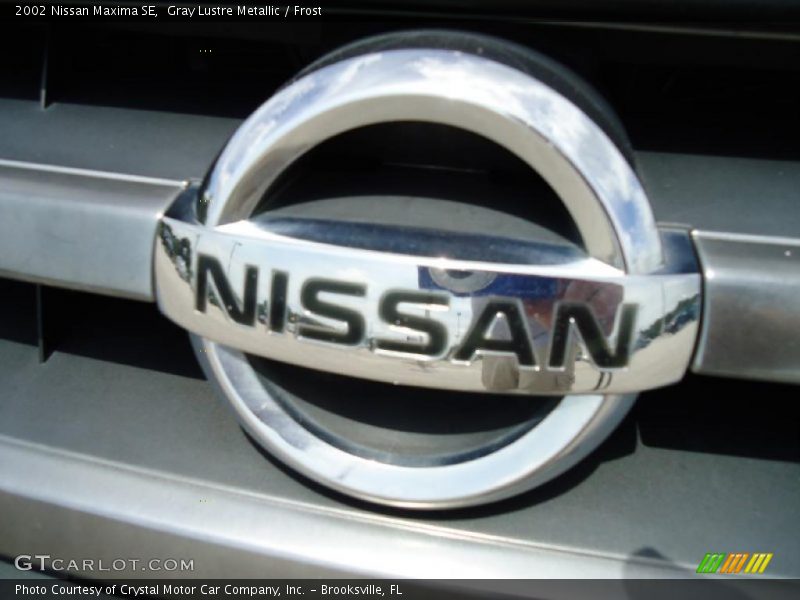 Gray Lustre Metallic / Frost 2002 Nissan Maxima SE