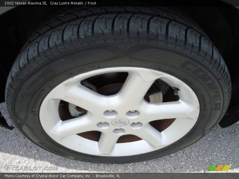 Gray Lustre Metallic / Frost 2002 Nissan Maxima SE