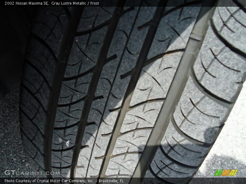 Gray Lustre Metallic / Frost 2002 Nissan Maxima SE