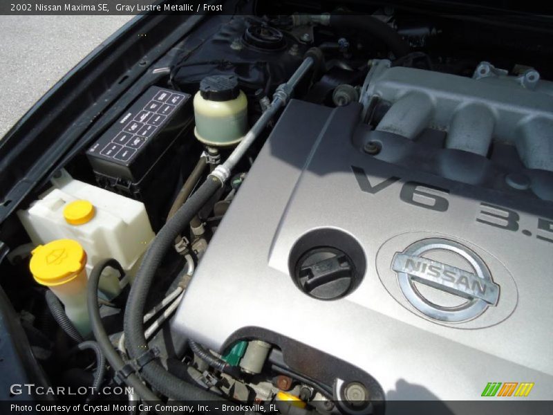 Gray Lustre Metallic / Frost 2002 Nissan Maxima SE
