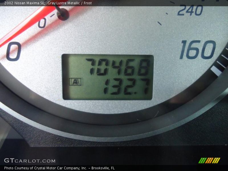 Gray Lustre Metallic / Frost 2002 Nissan Maxima SE